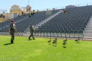 From time to time, the resident Egyptian Geese have to be escorted off the arena